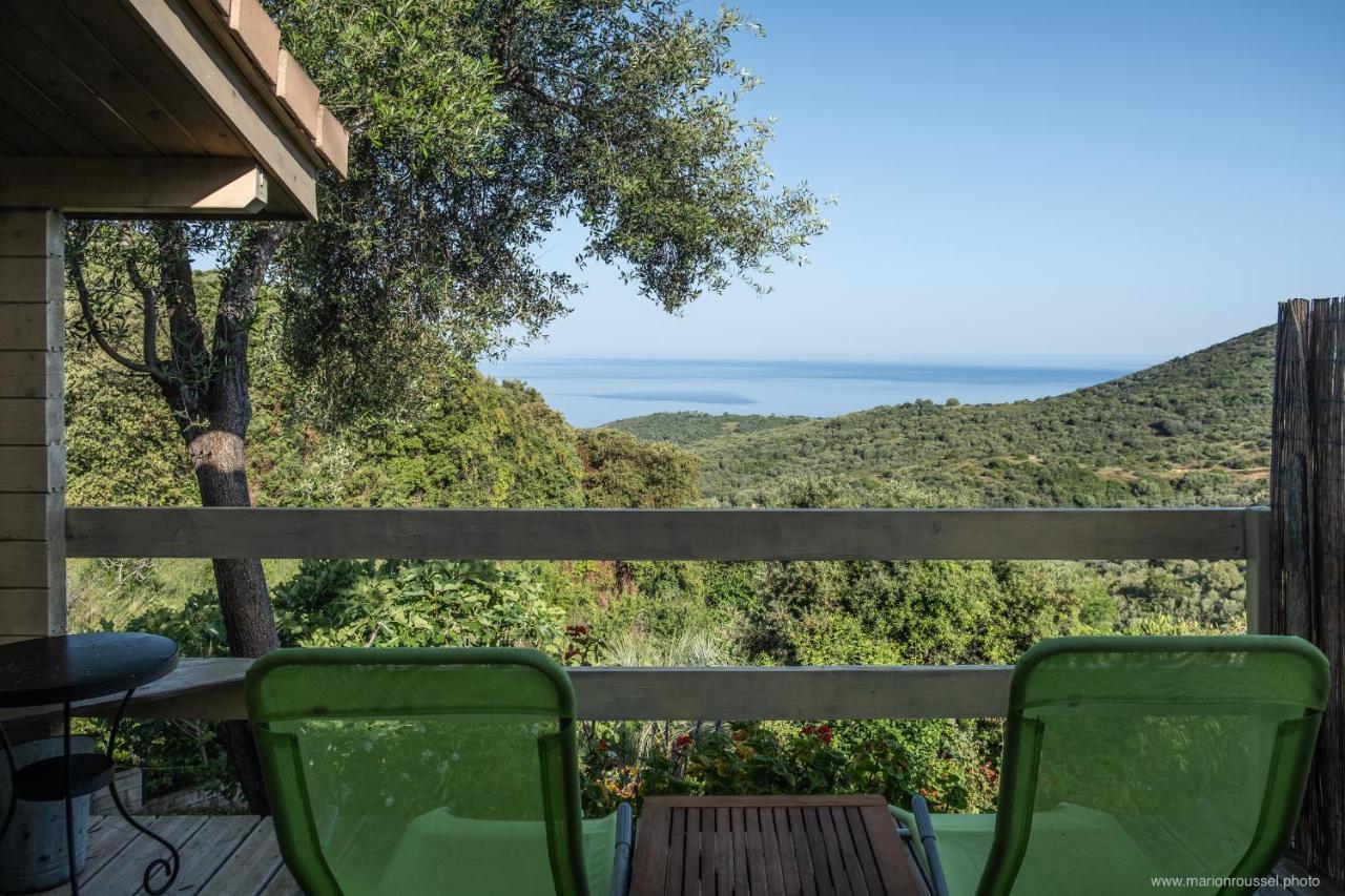 Villa Les Terrasses de Scaglioli à Villanova Extérieur photo