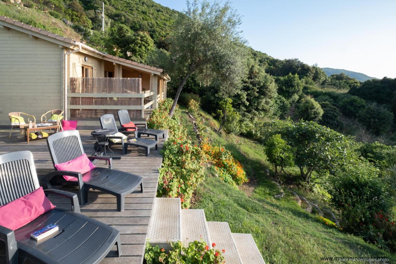 Villa Les Terrasses de Scaglioli à Villanova Extérieur photo