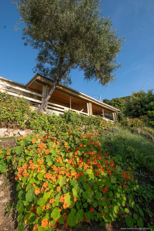 Villa Les Terrasses de Scaglioli à Villanova Extérieur photo